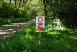 Open Studios Cornwall Brand Identity poster