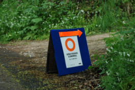 Open Studios Cornwall Brand Identity poster