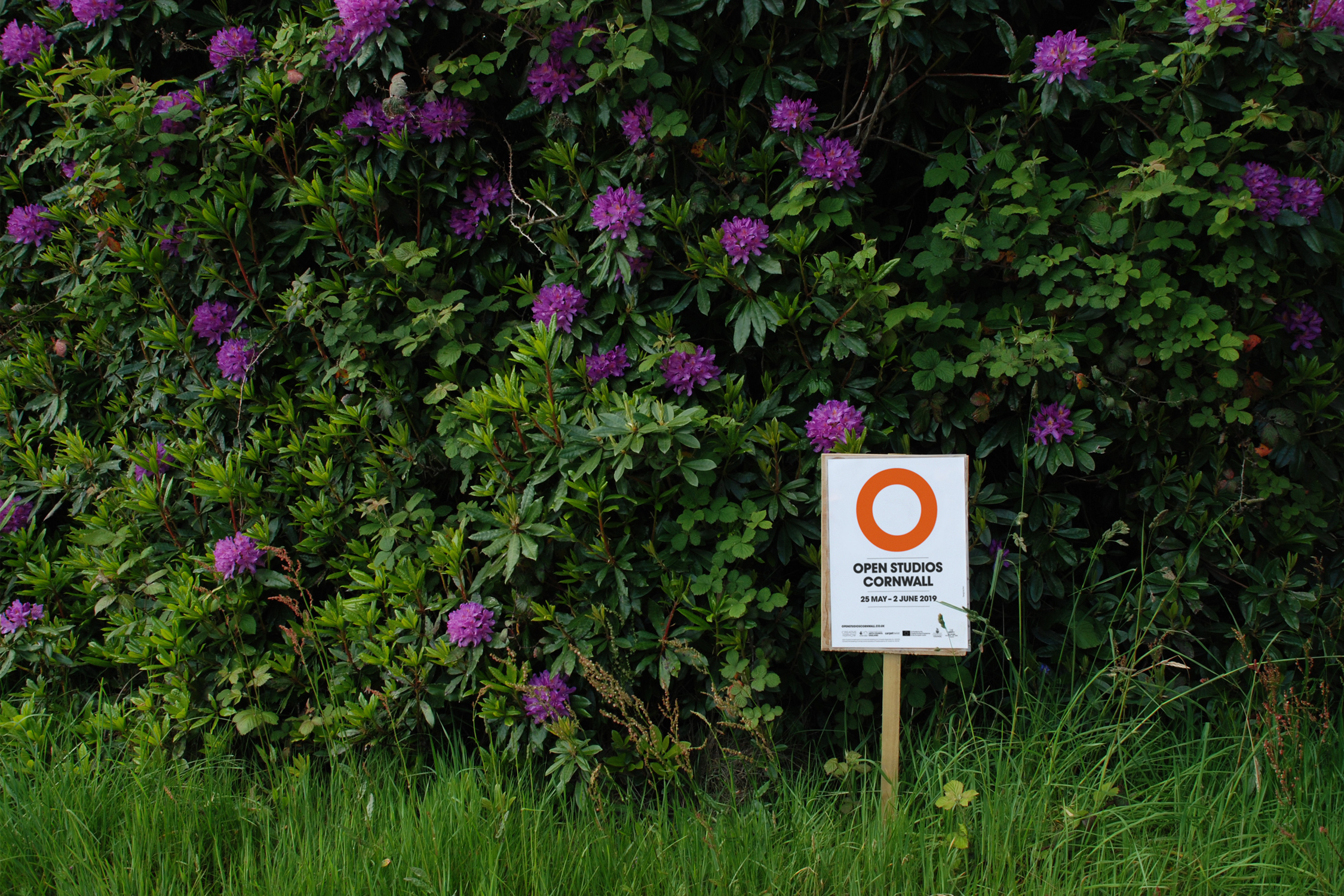 Open Studios Cornwall Brand Identity poster