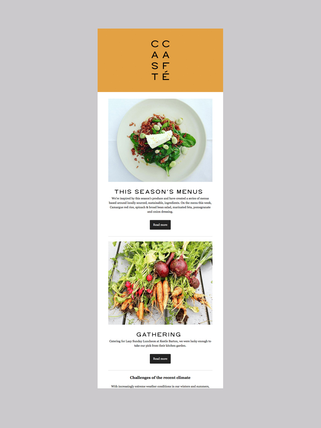 CAST Café Brand Identity email newsletter