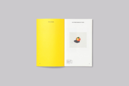 St Petrocs Campaign Identity Publication Design by Two