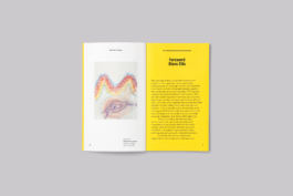 St Petrocs Campaign Identity publication design