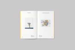 St Petrocs Campaign Identity publication design