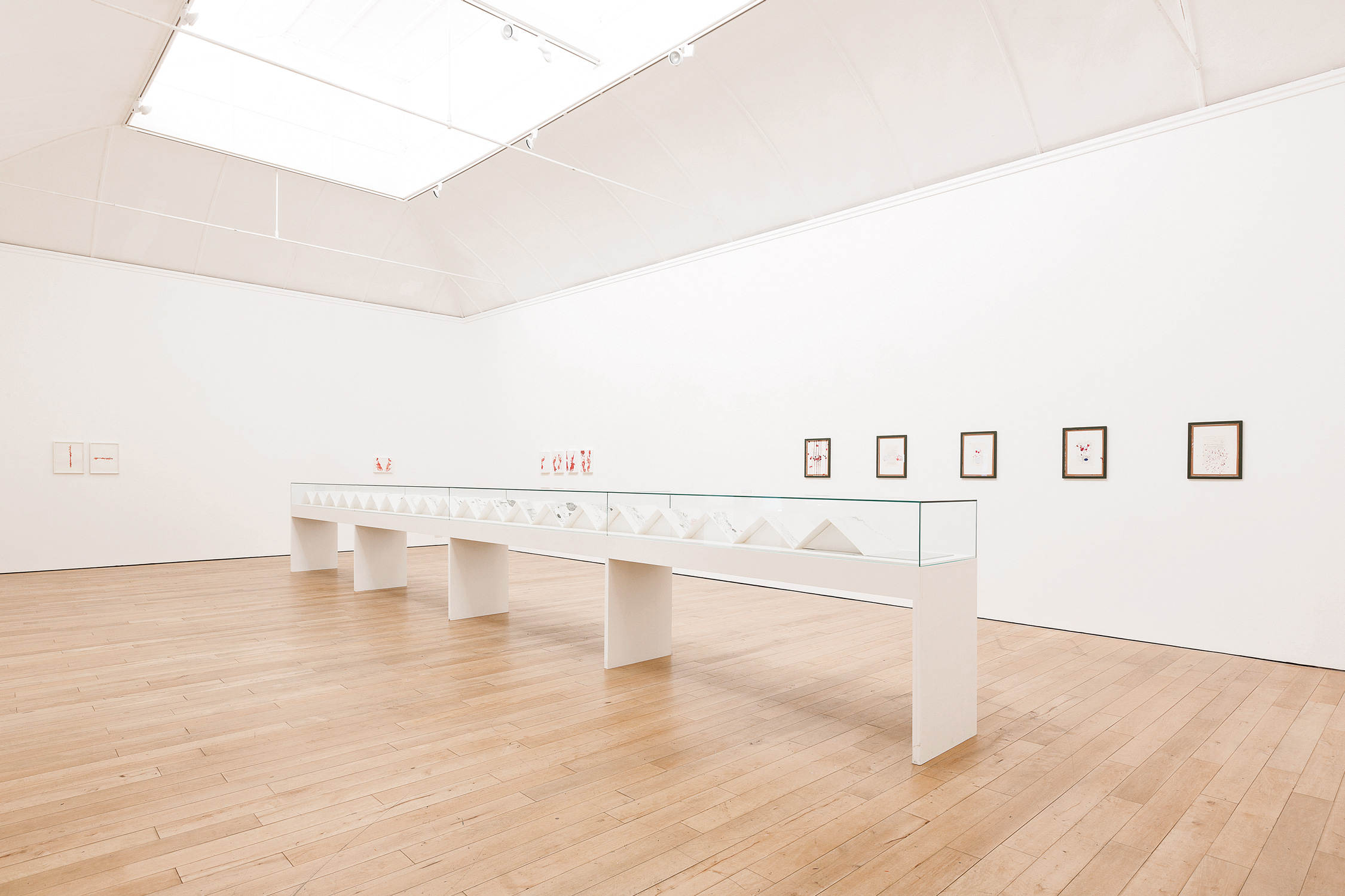 Imran Qureshi Art Direction and Book Design