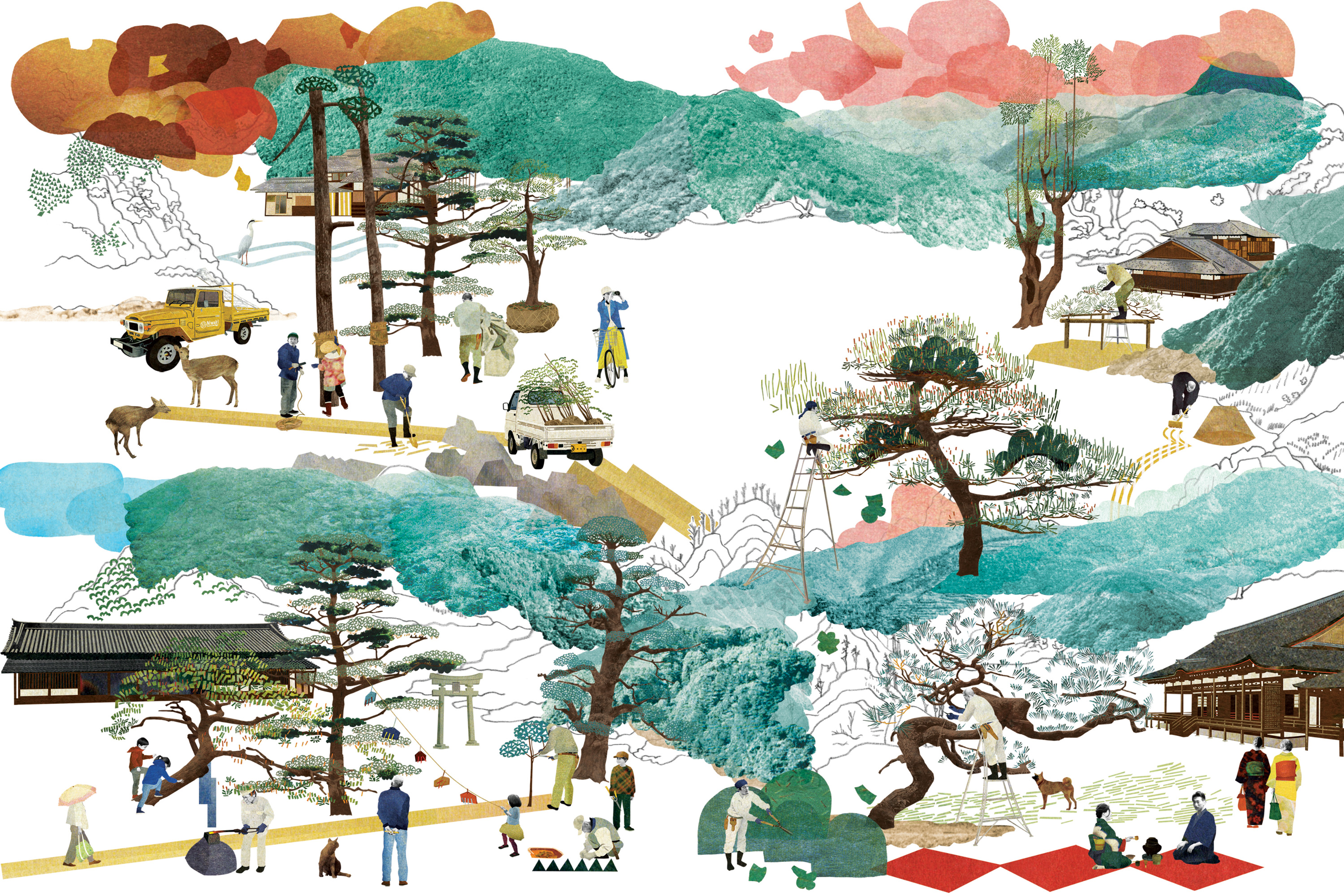 Natsko Seko illustration for Niwaki Product Catalogue Design