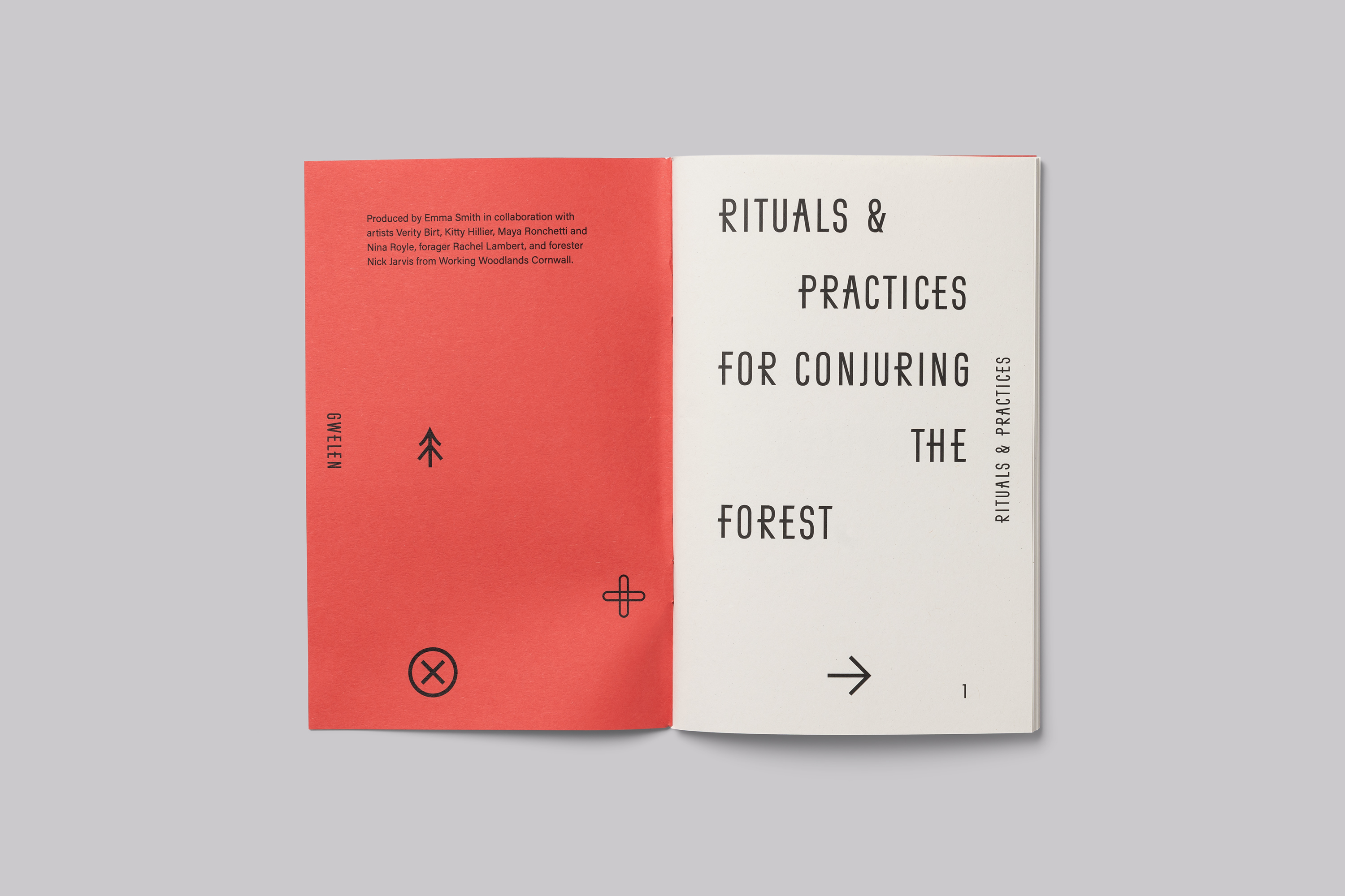 Book design for Gwelen, a public artwork by Emma Smith responding to the submerged forest in Mount’s Bay Cornwall UK