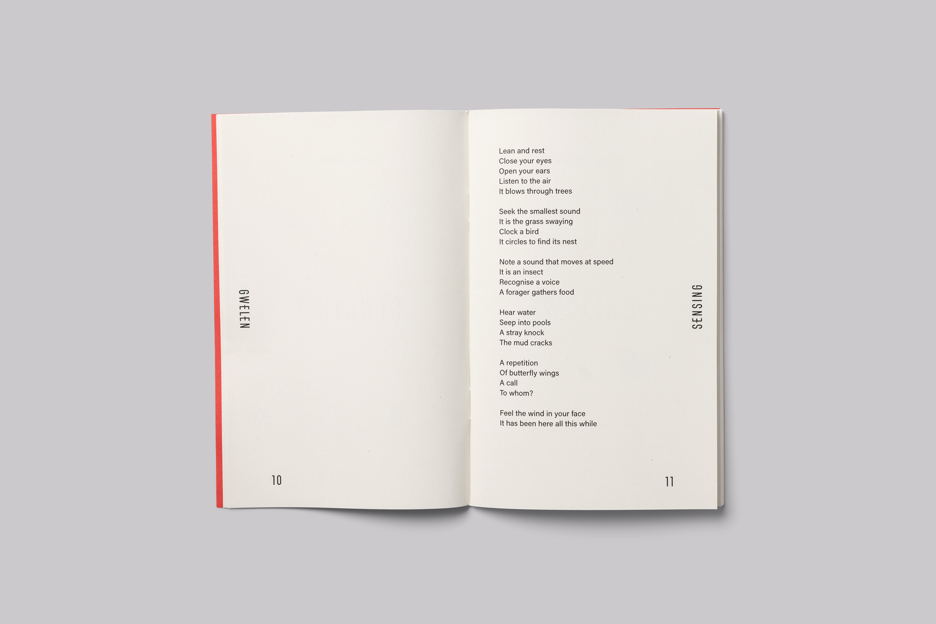 Book design for Gwelen, a public artwork by Emma Smith responding to the submerged forest in Mount’s Bay Cornwall UK