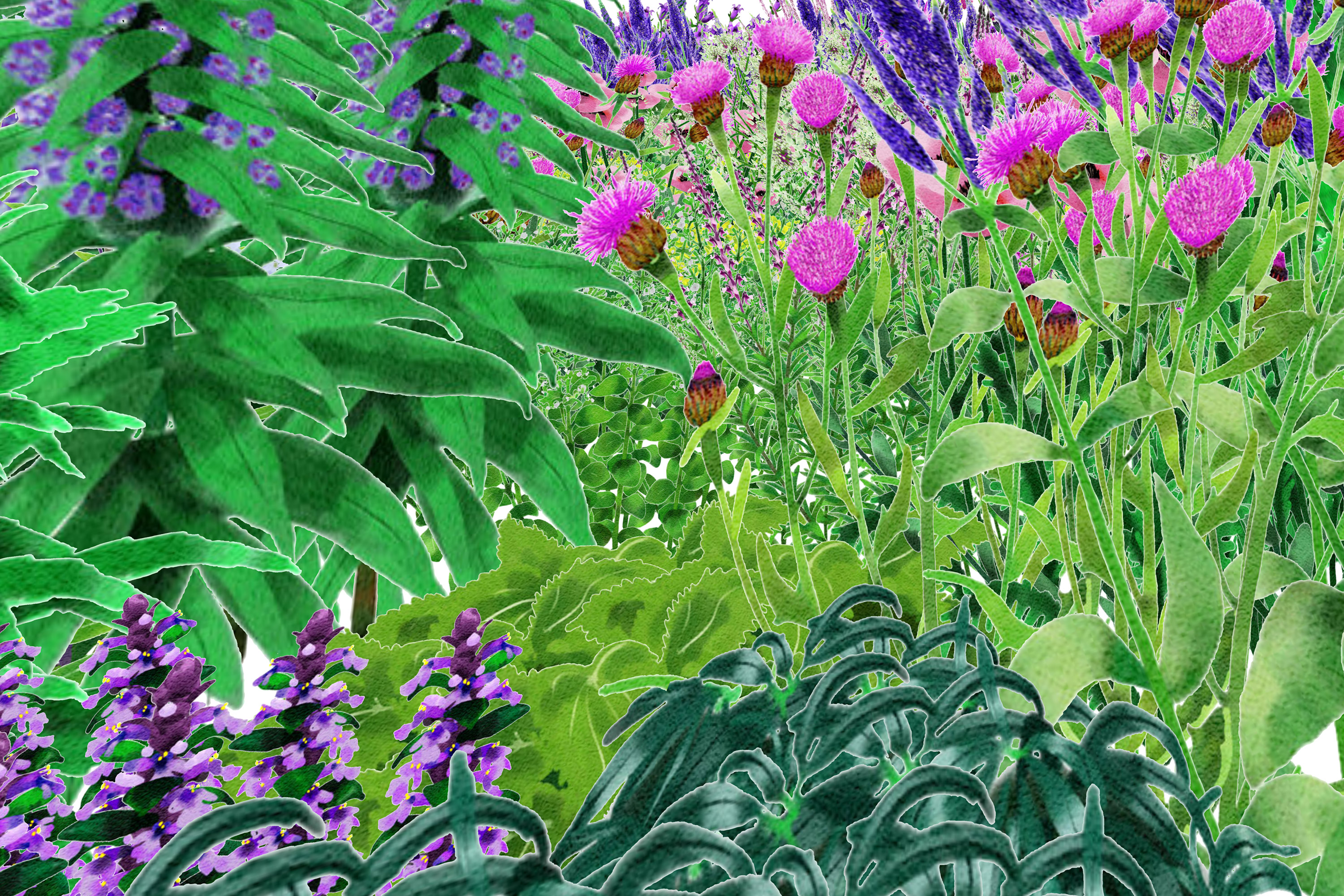 Integrated campaign design for Pollinator Pathmaker, for the Eden Project, Cornwall, UK