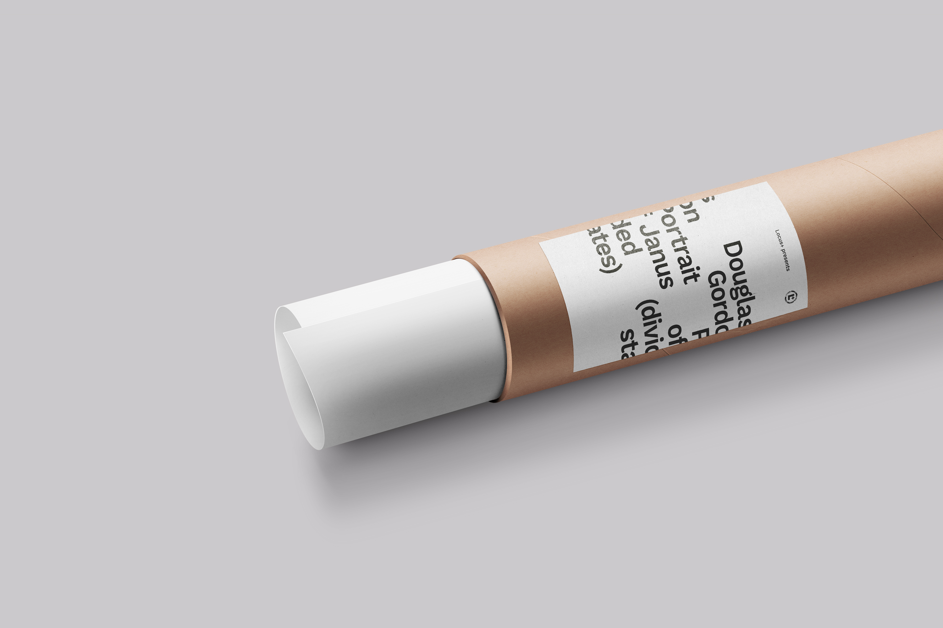 Poster design for Douglas Gordon Portrait of Janus (divided states), commissioned by Locus+