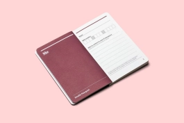 Design of the Health Passport support greater independence and confidence in accessing and managing health information