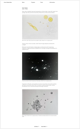 Website Design for contemporary artist Anne Vibeke Mou